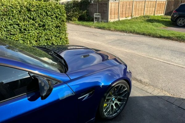 Professional Paint Correction